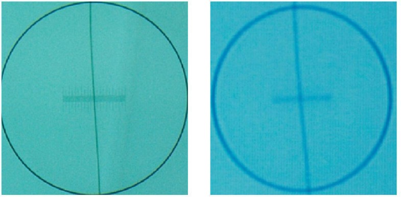 High-Definition 3D Stereoscopic Microscope Display System for
