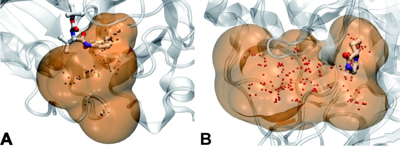 Fpocket: An open source platform for ligand pocket ...