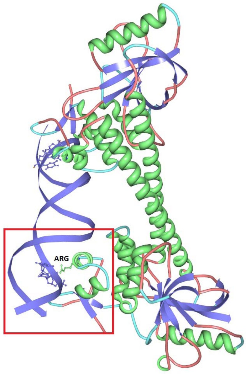 Prediction Of Dna-binding Propensity Of Proteins By The Ball-histogram 