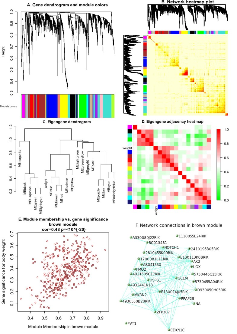 WGCNA an R package for weighted correlation network analysis BMC