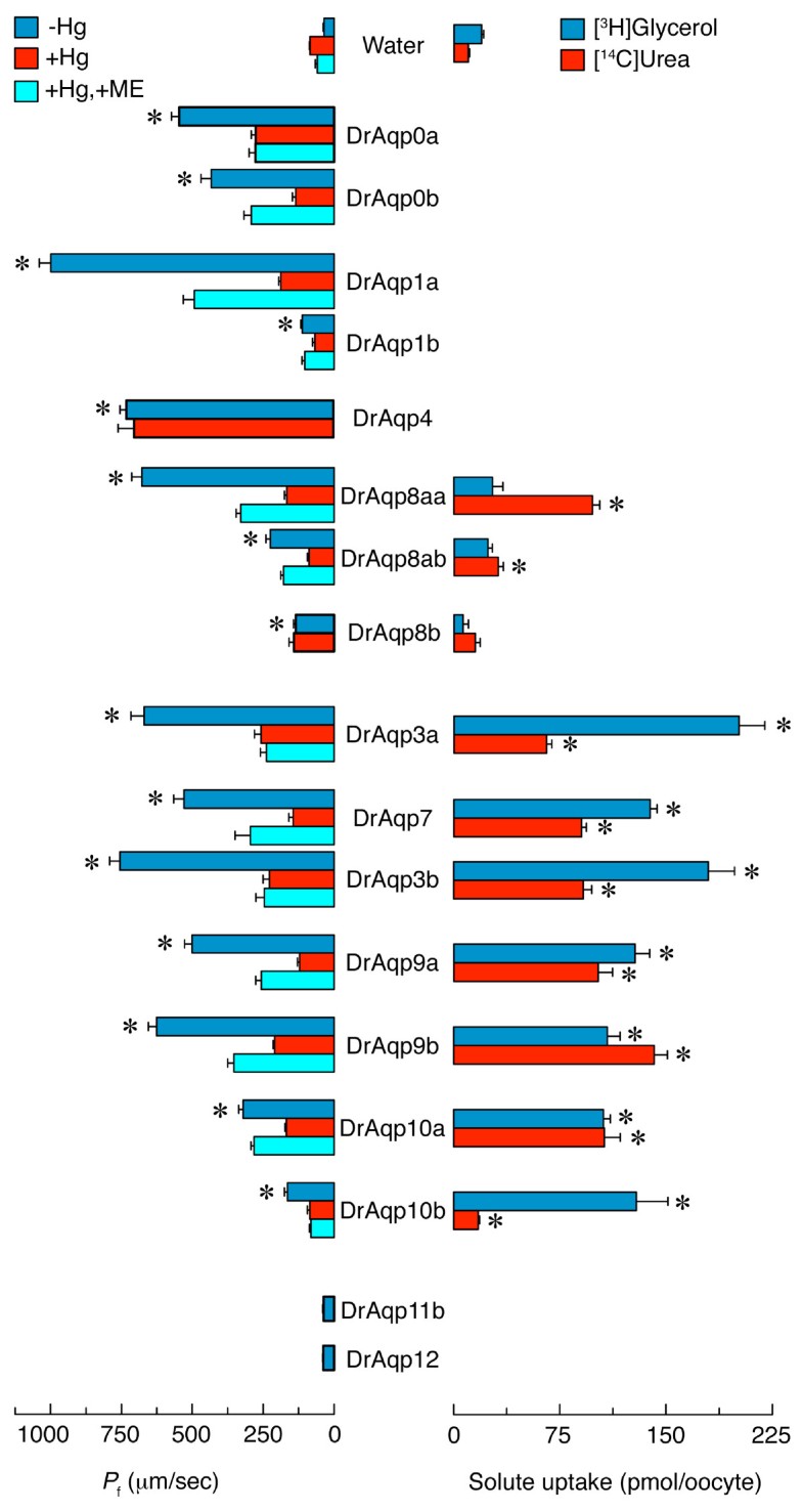 repertoire biology meaning repertoire biology meaning