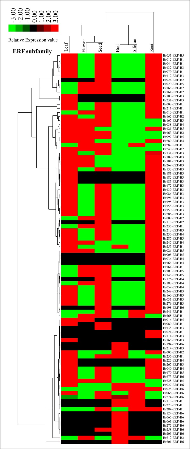 Genome-wide analysis of the AP2/ERF transcription factor ... ap2 cluster diagram 
