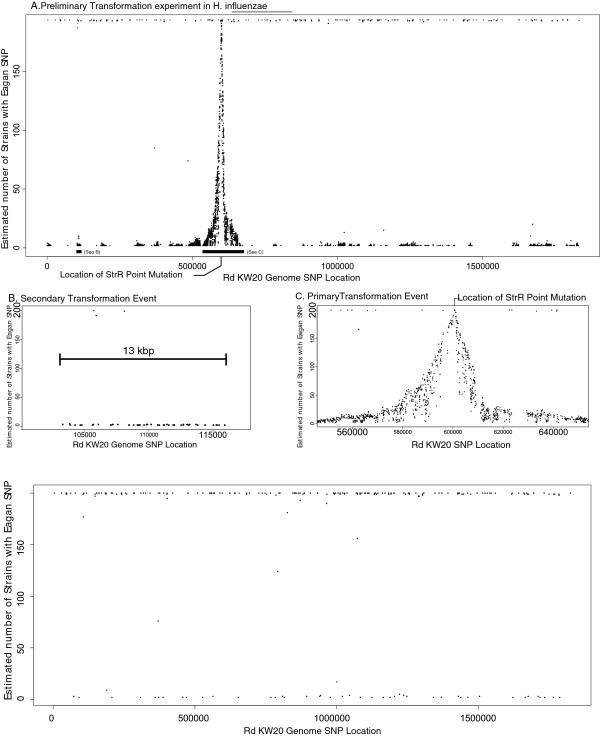Investigations into genome diversity of Haemophilus influenzae using whole genome sequencing of