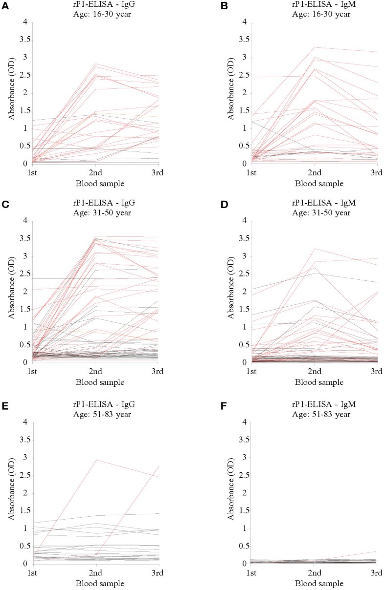 Immune response to Mycoplasma pneumoniae P1 and P116 in patients with atypical pneumonia