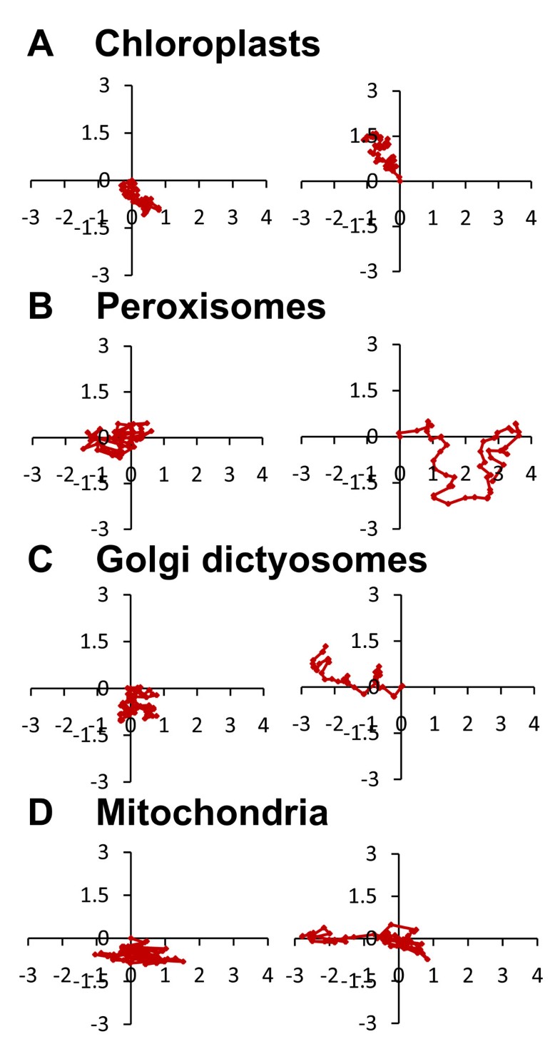 Quantitative analysis of organelle distribution and dynamics in