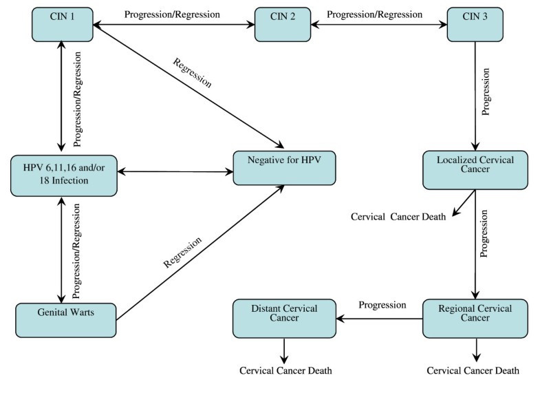 Epidemiologic natural history and clinical management of Human
