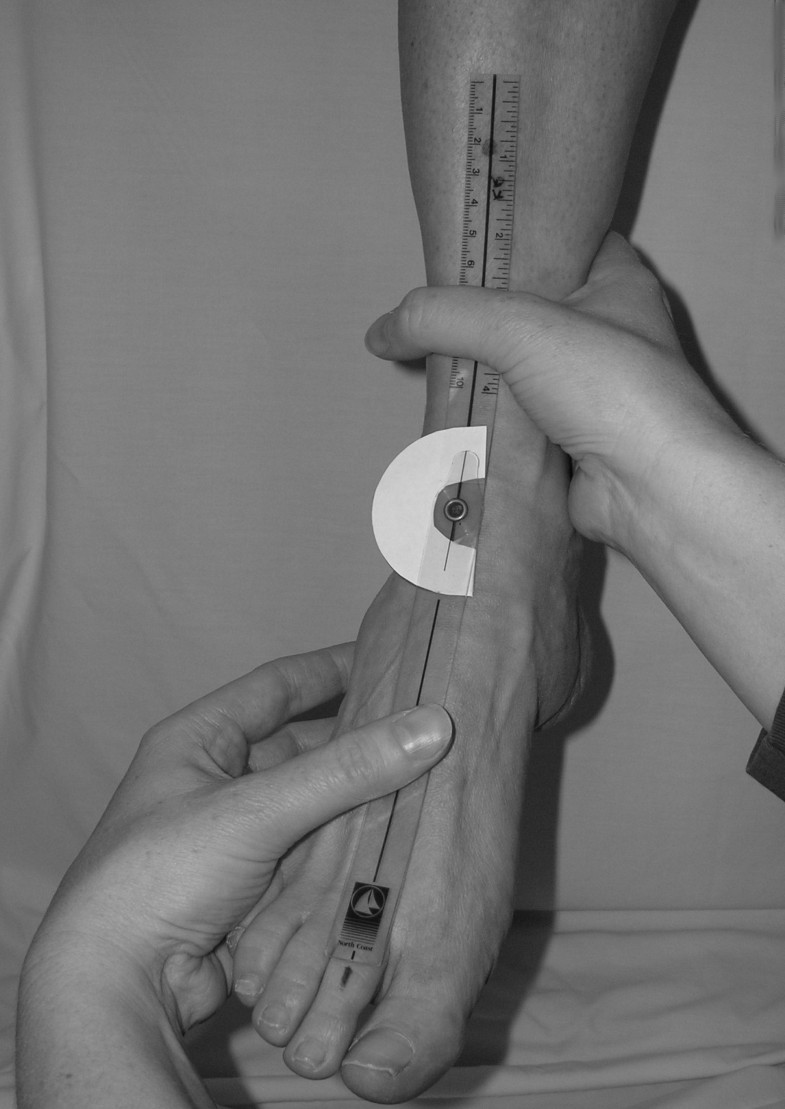 Reliability of two goniometric methods of measuring active inversion