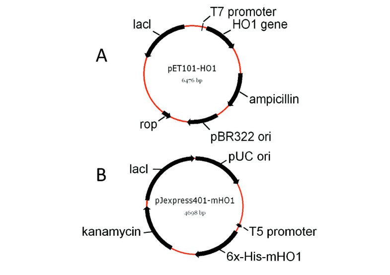 Vector map Menlo Park California 17