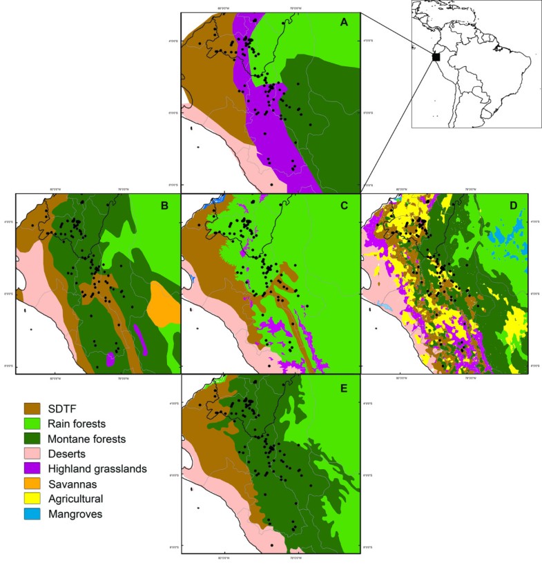 Forgotten forests - issues and prospects in biome mapping using