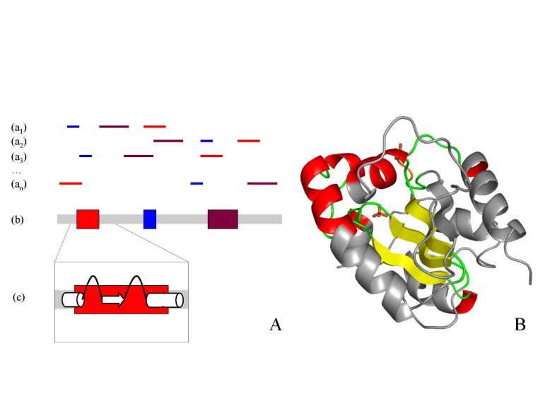 Occurrence of protein structure elements in conserved sequence regions