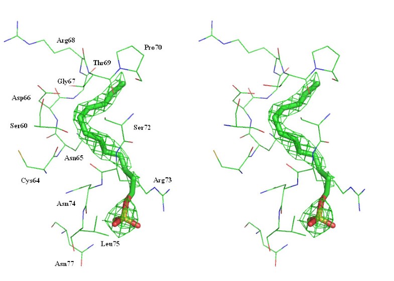 Protecting role of cosolvents in protein denaturation by SDS a structural study BMC