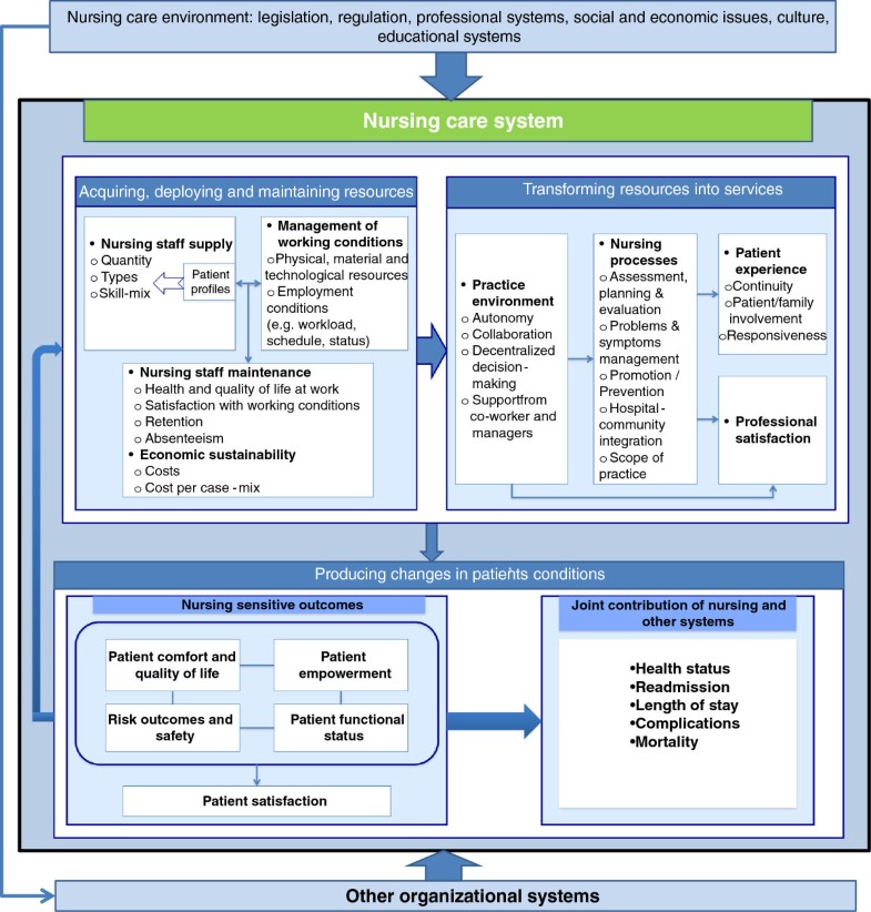 Conceptualizing performance of nursing care as a prerequisite for ...