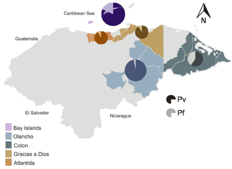 diversity of Plasmodium vivax and Plasmodium falciparum in