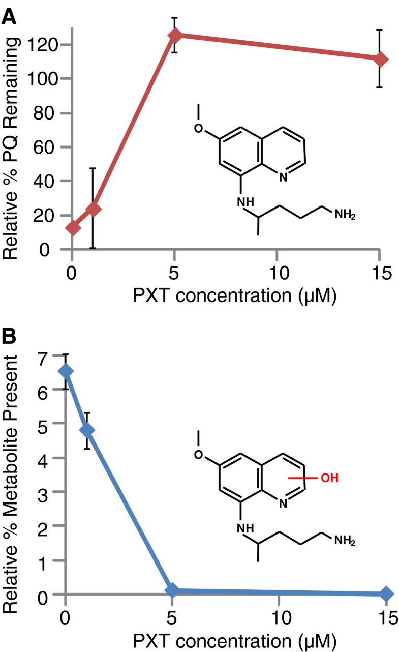 gabapentin metabolism cyp