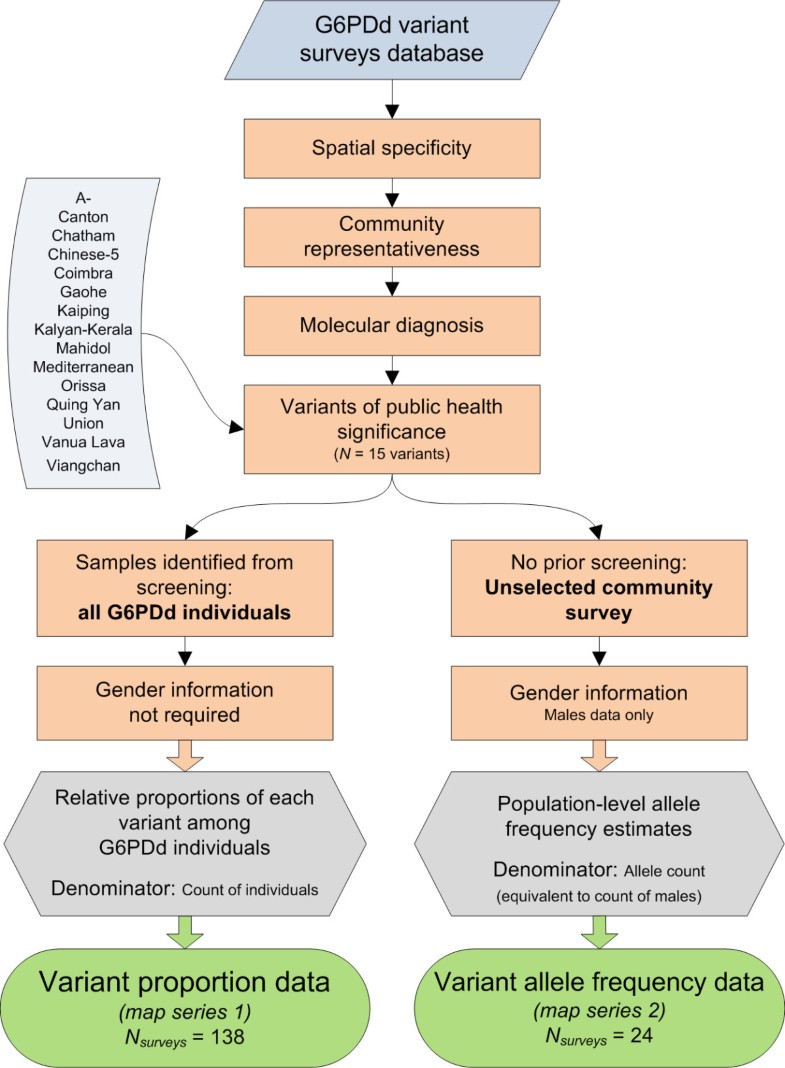 Spatial distribution of G6PD deficiency variants across malariaendemic