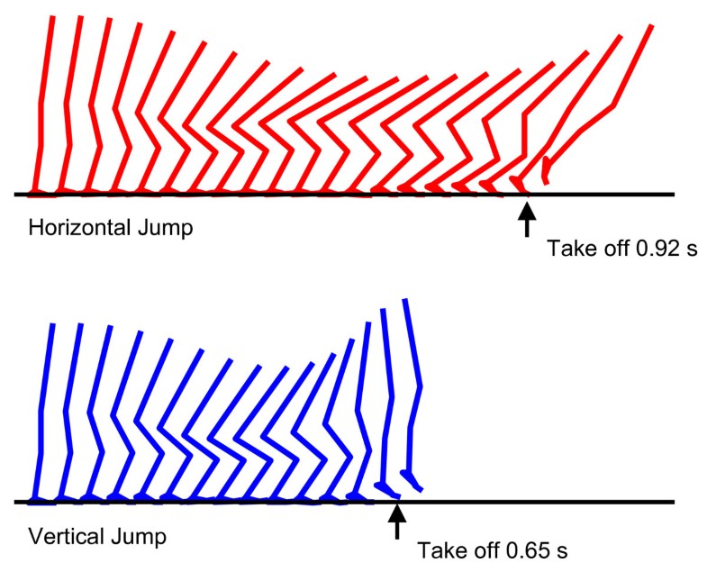 Optimal coordination of maximaleffort horizontal and vertical jump