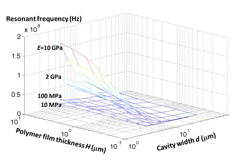 Resonant frequency of gold/polycarbonate hybrid nano resonators