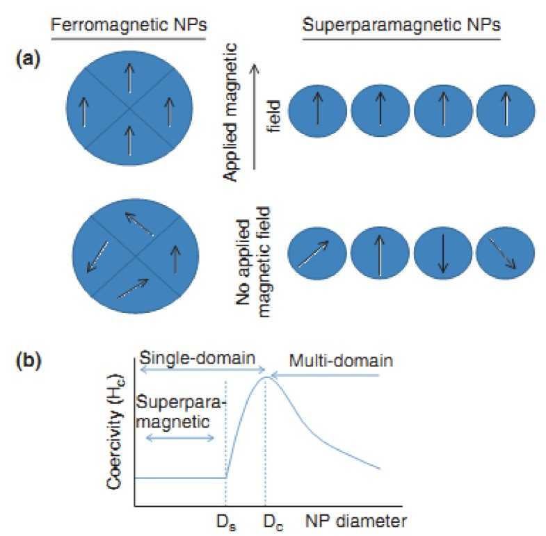 nanoparticles preparation, physical properties, and