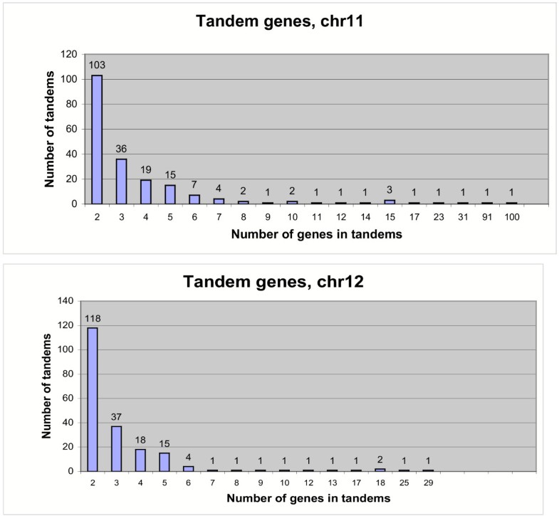The sequence of rice chromosomes 11 and 12, rich in disease resistance