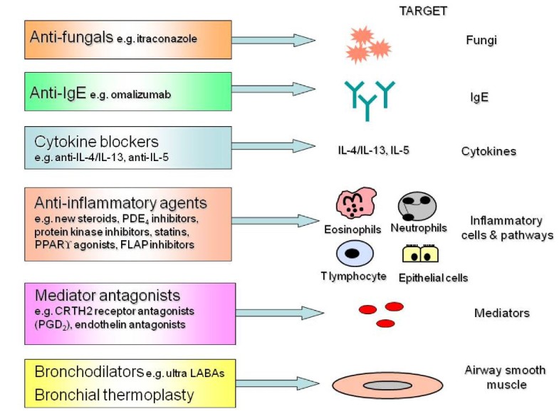 Emerging therapies for severe asthma BMC Medicine Full Text