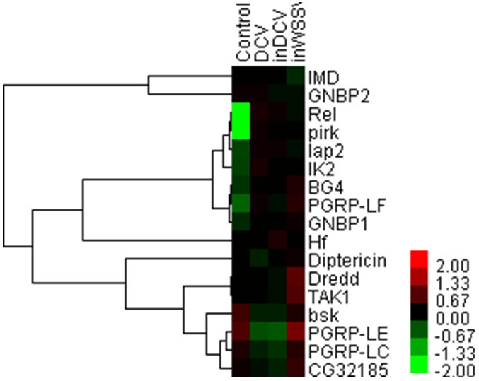 Transcriptional profiling of Drosophila S2 cells in early response to Drosophila C virus
