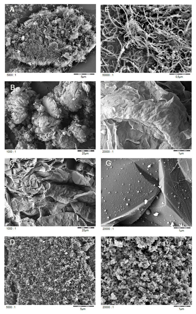 Comparative inhalation toxicity of multiwall carbon nanotubes