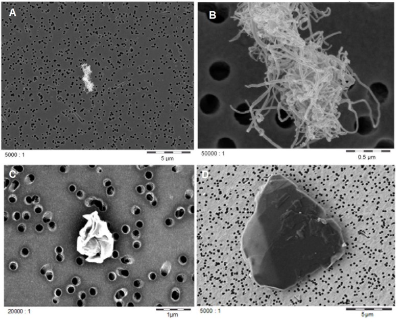 Comparative inhalation toxicity of multiwall carbon nanotubes