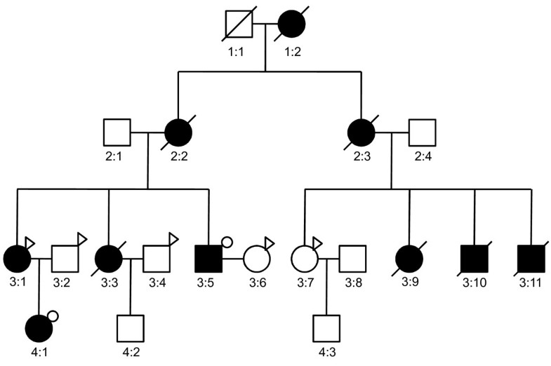 Exome sequencing identified new mutations in a Marfan syndrome family