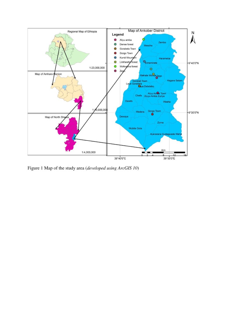 Ethnoveterinary plants of Ankober District, North Shewa Zone, Amhara