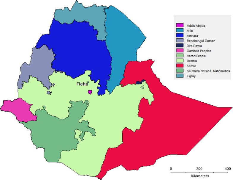 The current status of knowledge of herbal medicine and medicinal plants