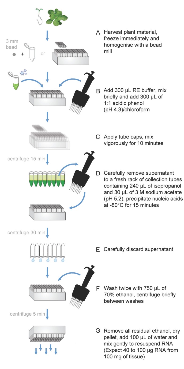 Protocol A simple phenolbased method for 96well extraction of high