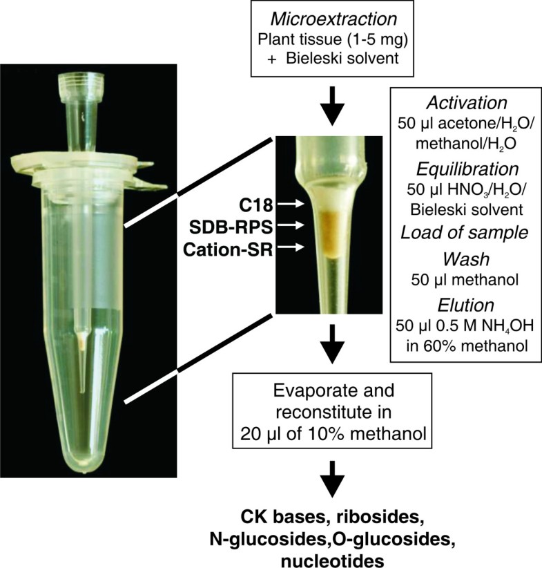 A new approach for cytokinin isolation from Arabidopsis tissues using