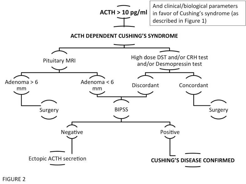 Cushing’s disease Journal of Rare Diseases Full Text