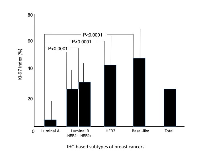 Luminal A and luminal B (HER2 negative) subtypes of breast cancer consist of a mixture of tumors