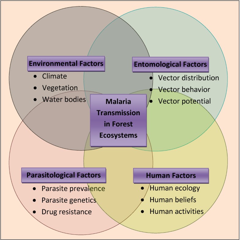 A review of malaria transmission dynamics in forest ecosystems Parasites & Vectors Full Text