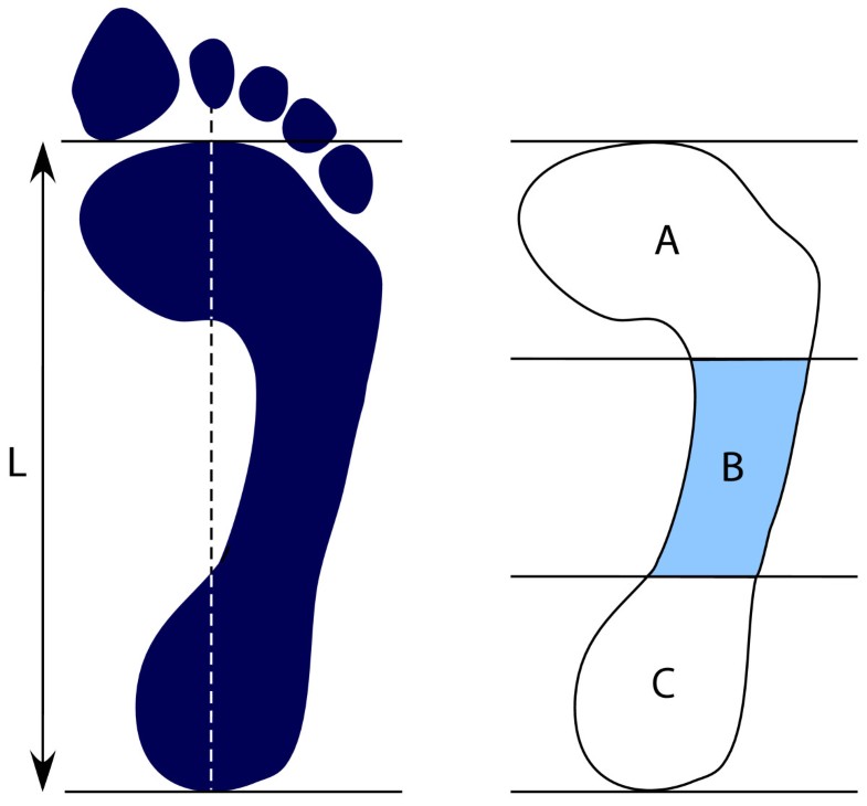 Visual categorisation of the arch index a simplified measure of foot