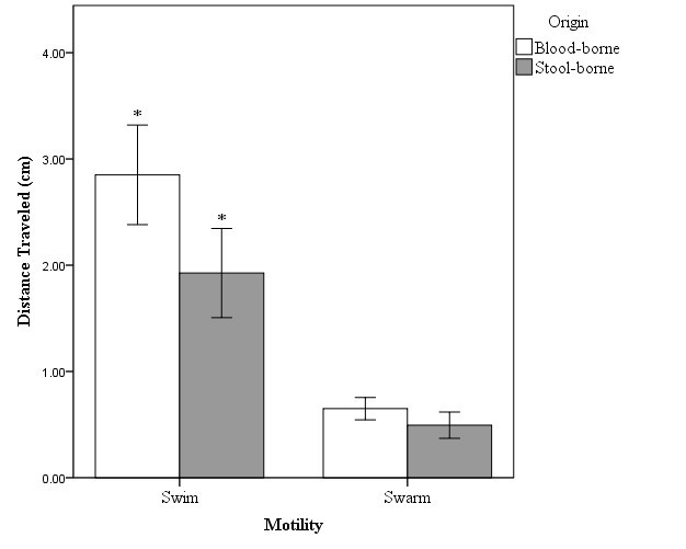Variations in motility and biofilm formation of Salmonella enterica