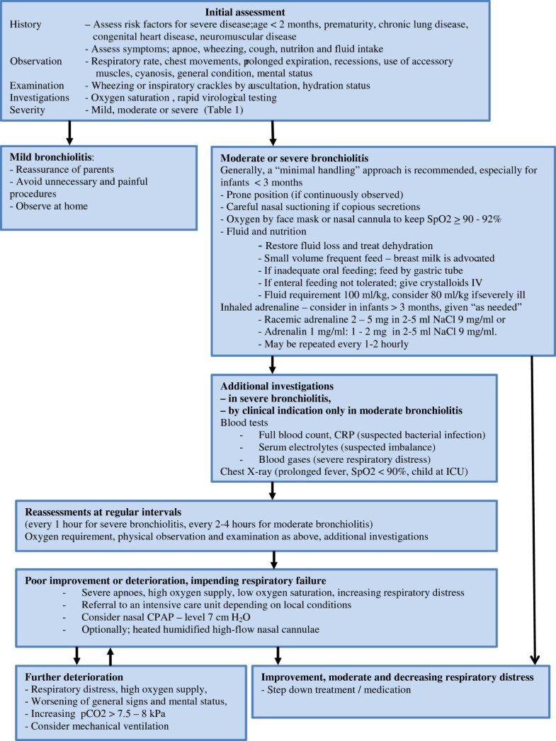 Acute bronchiolitis in infants, a review Scandinavian Journal of