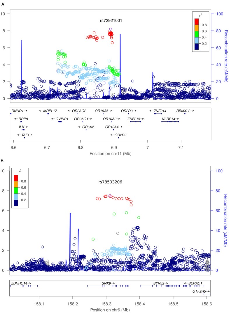 A variant near olfactory receptor genes influences cilantro