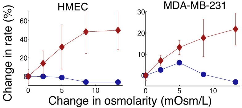 Which Of The Following Would Result In No Change In Osmotic Pressure Across A Membrane? Separation of metabolic supply and demand: aerobic glycolysis as a