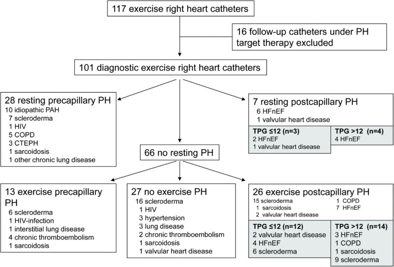 experience-with-exercise-right-heart-catheterization-in-the-diagnosis