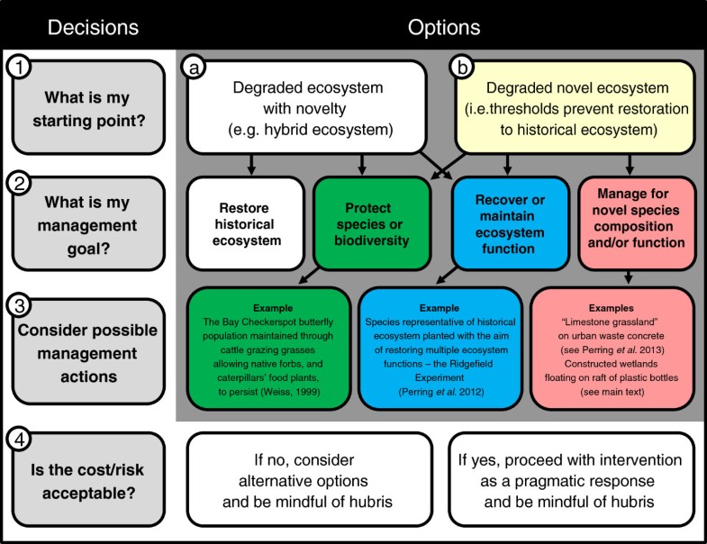 Incorporating novelty and novel ecosystems into restoration planning and practice in the 21st