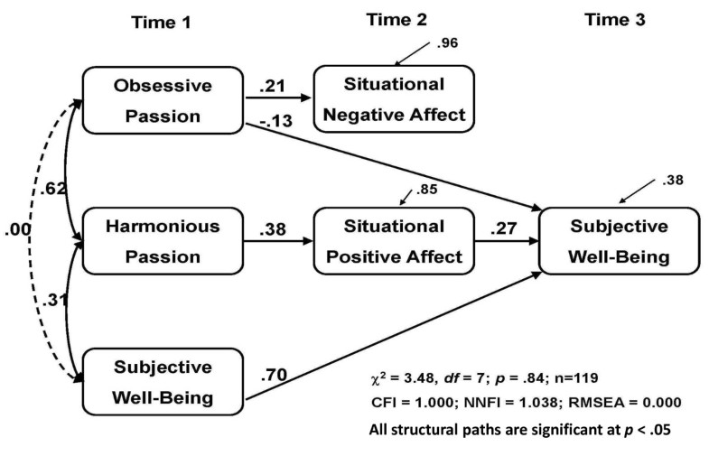 The role of passion in sustainable psychological wellbeing