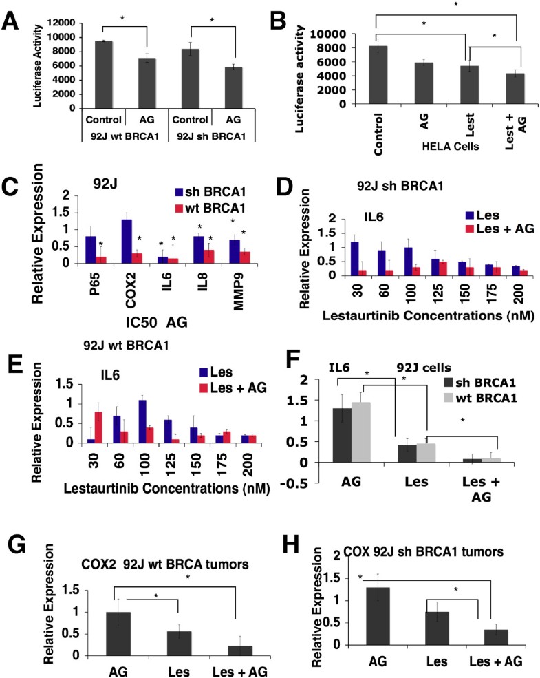 Synergistic effect of lestaurtinib with AG14361 on 