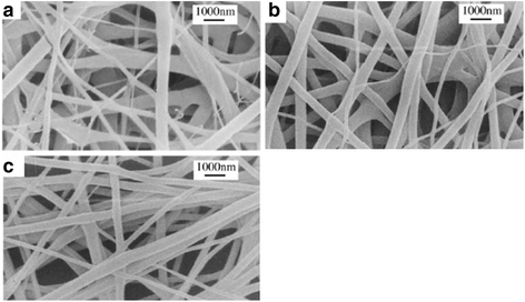 silk protein scaffold silk protein scaffold