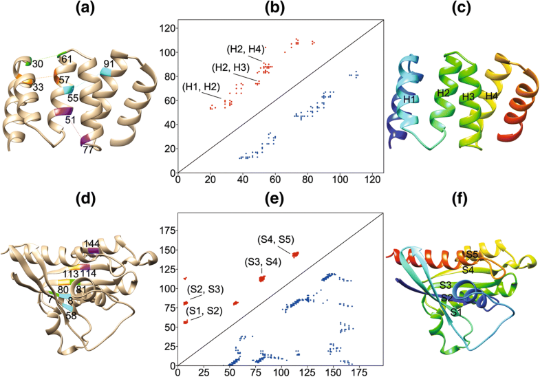Predicting protein residueresidue contacts using random forests and
