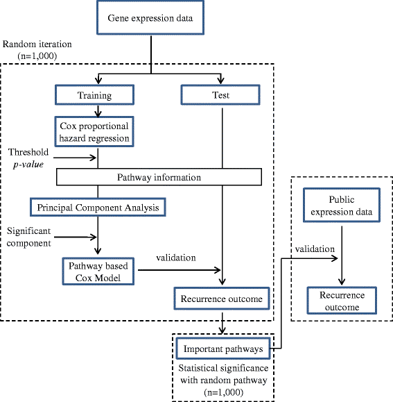 Recurrenceassociated pathways in hepatitis B viruspositive