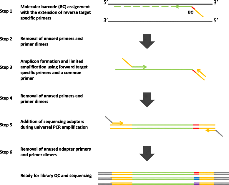 Reducing amplification artifacts in high multiplex amplicon sequencing