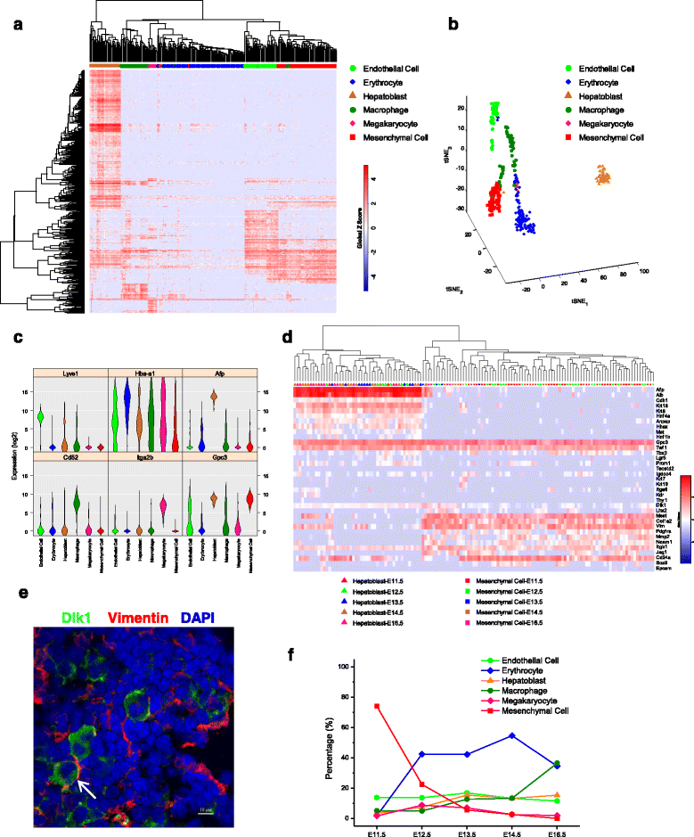 Singlecell RNASeq analysis reveals dynamic trajectories during mouse