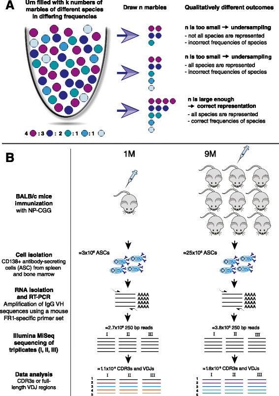 gene sequence definition antibodies gene sequence definition antibodies